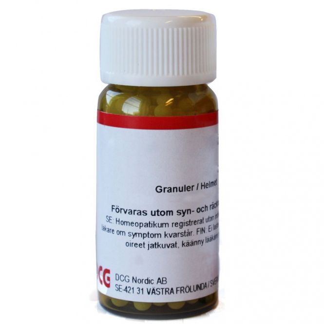 Hovedbilde Conium maculatum D6 20 gram piller