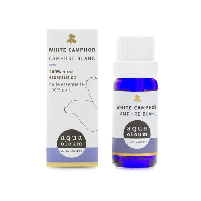 Hovedbilde Camphor / Kamfer hvit eterisk olje 10 ml